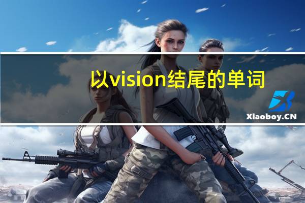 以vision结尾的单词