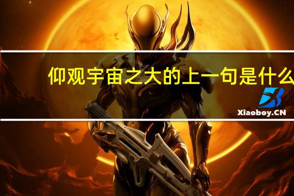 仰观宇宙之大的上一句是什么
