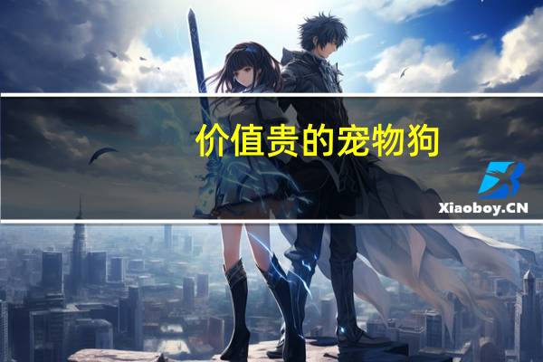 价值贵的宠物狗