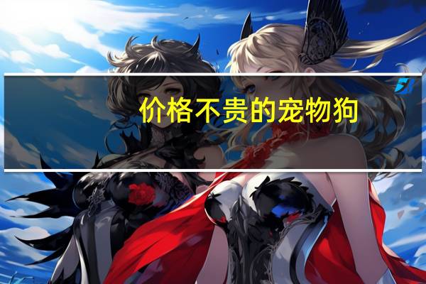 价格不贵的宠物狗