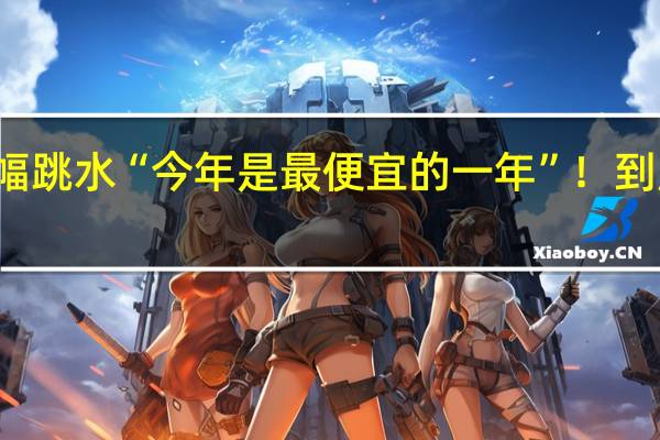 价格大幅跳水“今年是最便宜的一年”！ 到底什么情况嘞