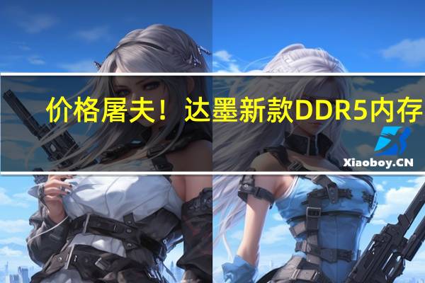 价格屠夫！达墨新款DDR5内存条：48GB只要699元