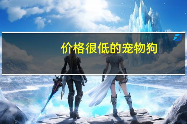 价格很低的宠物狗