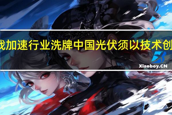 价格战加速行业洗牌 中国光伏须以技术创新穿越周期
