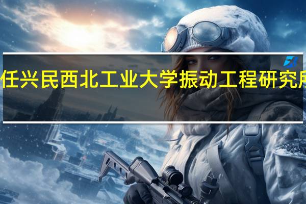 任兴民西北工业大学振动工程研究所所长