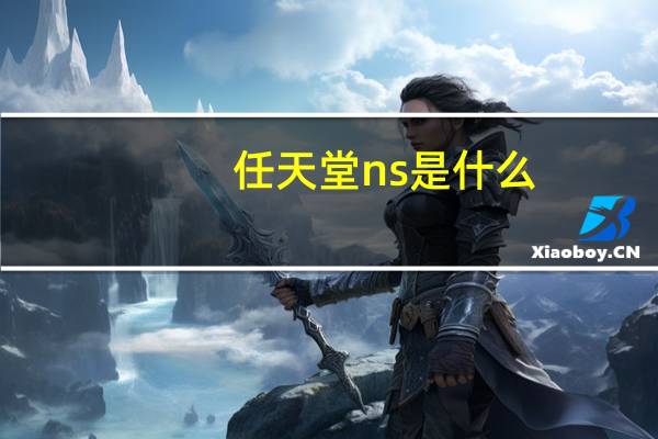 任天堂ns是什么（任天堂ns说明）