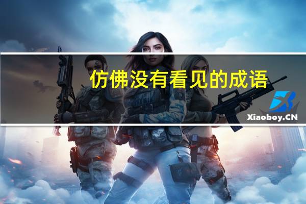 仿佛没有看见的成语