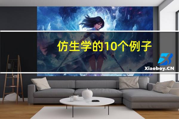 仿生学的10个例子