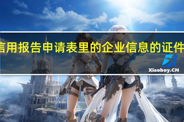 企业信用报告申请表里的企业信息的证件类型怎么填(企业信用报告申请表)