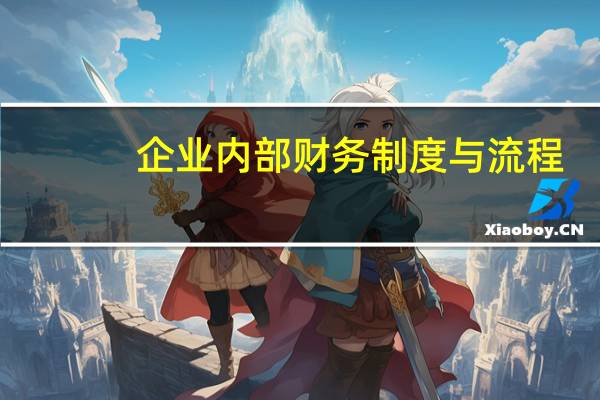 企业内部财务制度与流程（公司财务管理制度及流程）