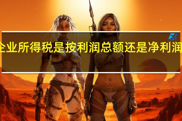 企业所得税是按利润总额还是净利润总额算