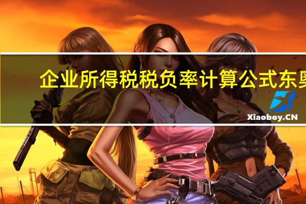 企业所得税税负率计算公式东奥（企业所得税税负率计算公式）