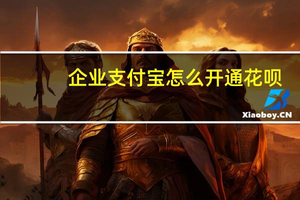 企业支付宝怎么开通花呗（企业支付宝怎么登陆）