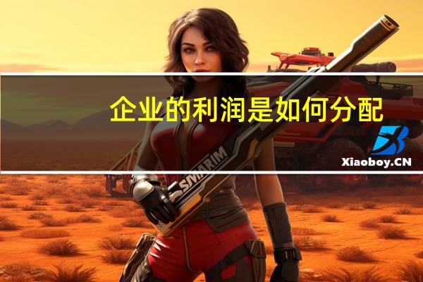 企业的利润是如何分配