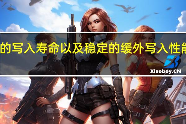 企业级SSD惊人的写入寿命以及稳定的缓外写入性能令很多玩家垂涎不已