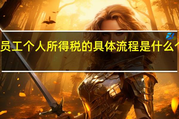企业网上缴纳员工个人所得税的具体流程是什么 个人所得税怎么报税