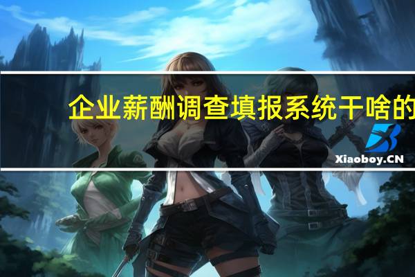 企业薪酬调查填报系统干啥的（企业薪酬调查填报系统）