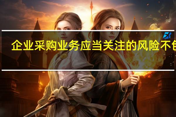 企业采购业务应当关注的风险不包括
