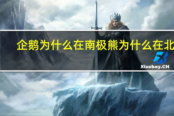 企鹅为什么在南极熊为什么在北极