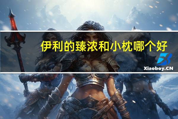 伊利的臻浓和小枕哪个好