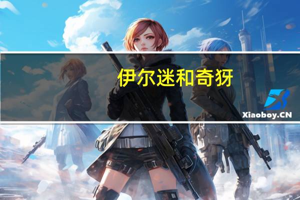 伊尔迷和奇犽（伊尔迷）