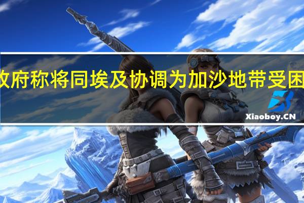 伊拉克政府称将同埃及协调为加沙地带受困民众提供援助