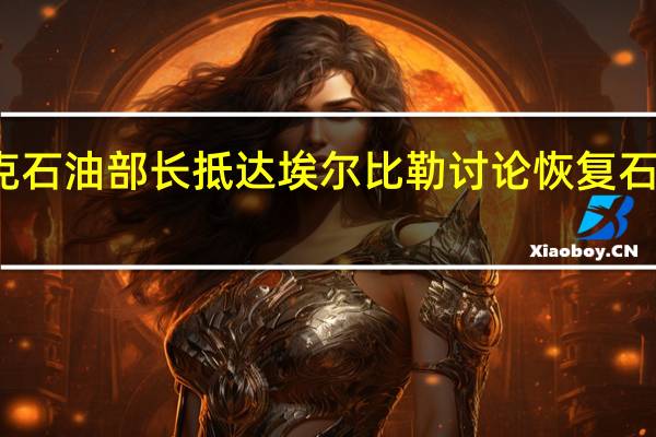 伊拉克石油部长抵达埃尔比勒 讨论恢复石油出口问题