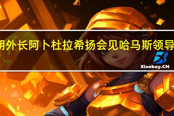 伊朗外长阿卜杜拉希扬会见哈马斯领导人哈尼亚