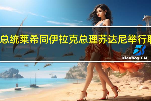 伊朗总统莱希同伊拉克总理苏达尼举行联合发布会