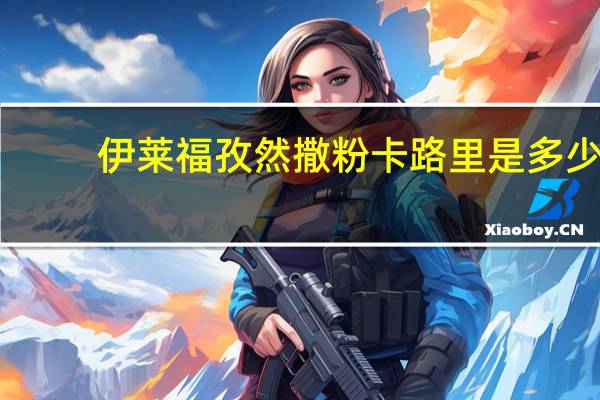伊莱福 孜然撒粉卡路里是多少