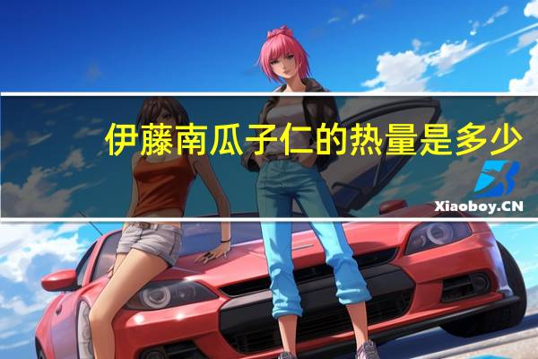 伊藤 南瓜子仁的热量是多少