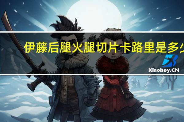 伊藤 后腿火腿切片卡路里是多少