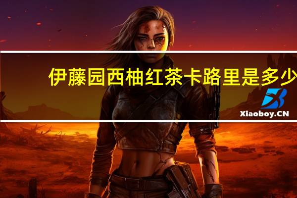 伊藤园西柚红茶卡路里是多少