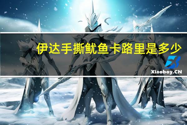 伊达 手撕鱿鱼卡路里是多少