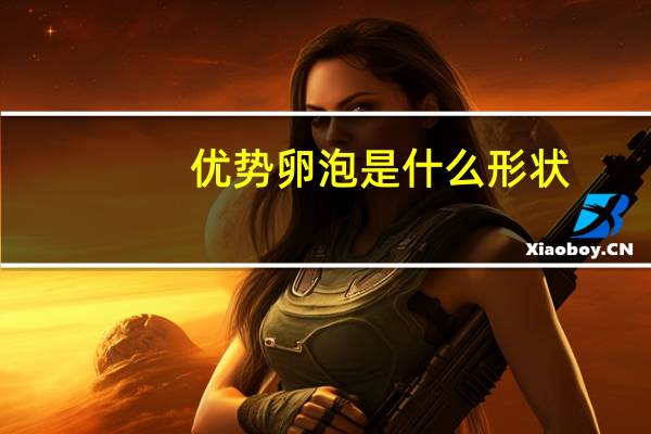 优势卵泡是什么形状(优势卵泡是什么)