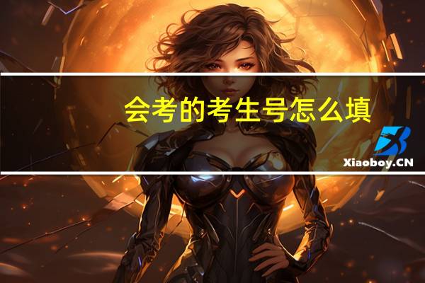 会考的考生号怎么填