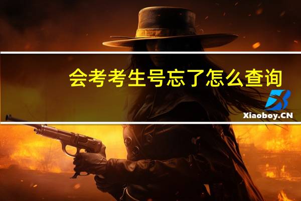 会考考生号忘了怎么查询