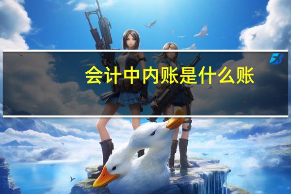 会计中内账是什么账