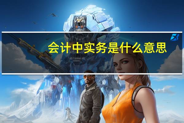 会计中实务是什么意思
