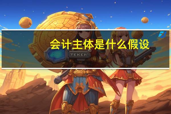 会计主体是什么假设（会计主体是什么）