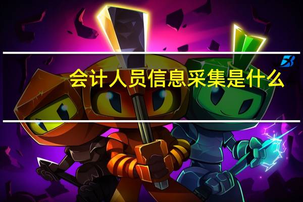 会计人员信息采集是什么（会计人员信息采集是什么意思）
