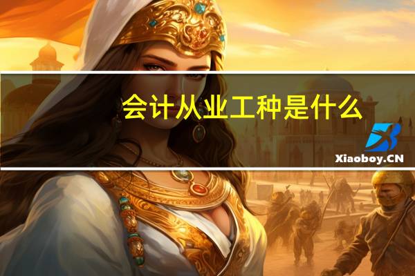 会计从业工种是什么