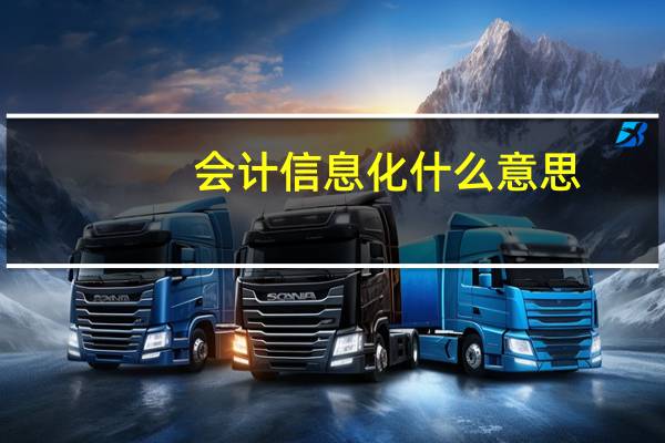 会计信息化什么意思