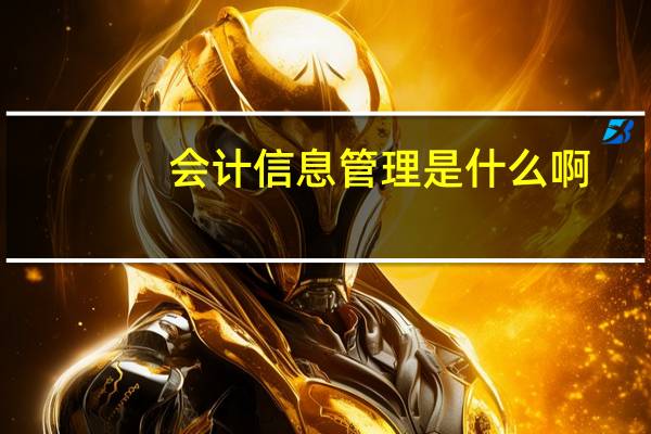 会计信息管理是什么啊