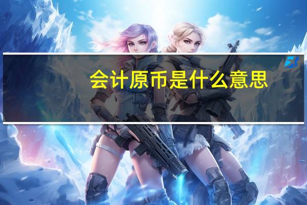 会计原币是什么意思