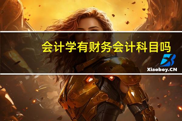 会计学有财务会计科目吗