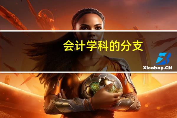 会计学科的分支