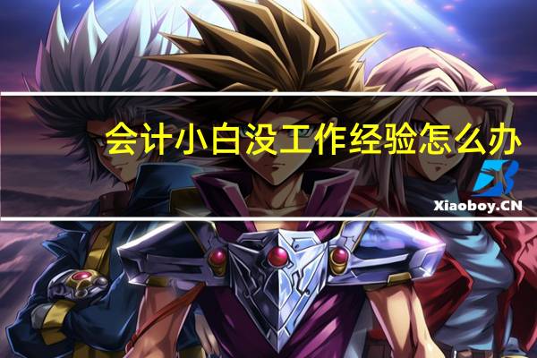 会计小白没工作经验怎么办