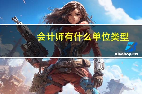 会计师有什么单位类型