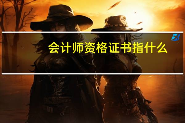 会计师资格证书指什么